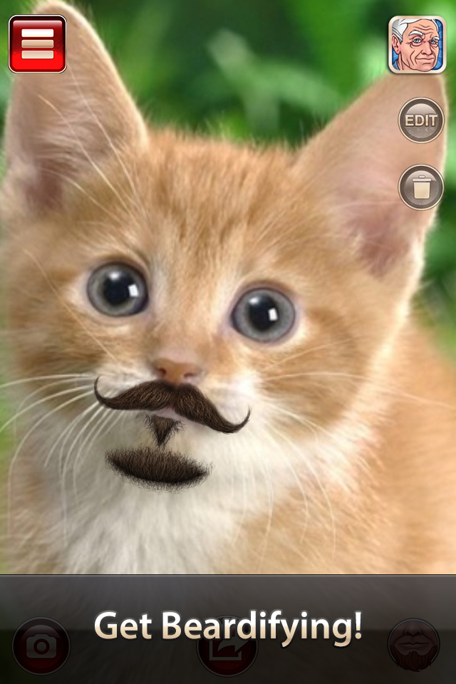 iPhone Screenshot 1